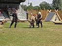 DSC01276.JPG