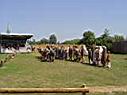 DSC01291.JPG