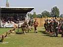 DSC01294.JPG
