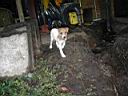 PC060031.jpg