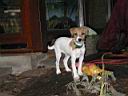 PC060035.jpg