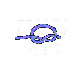Gew�hnlicherknoten